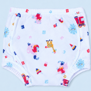 Assorted Padded Underwear